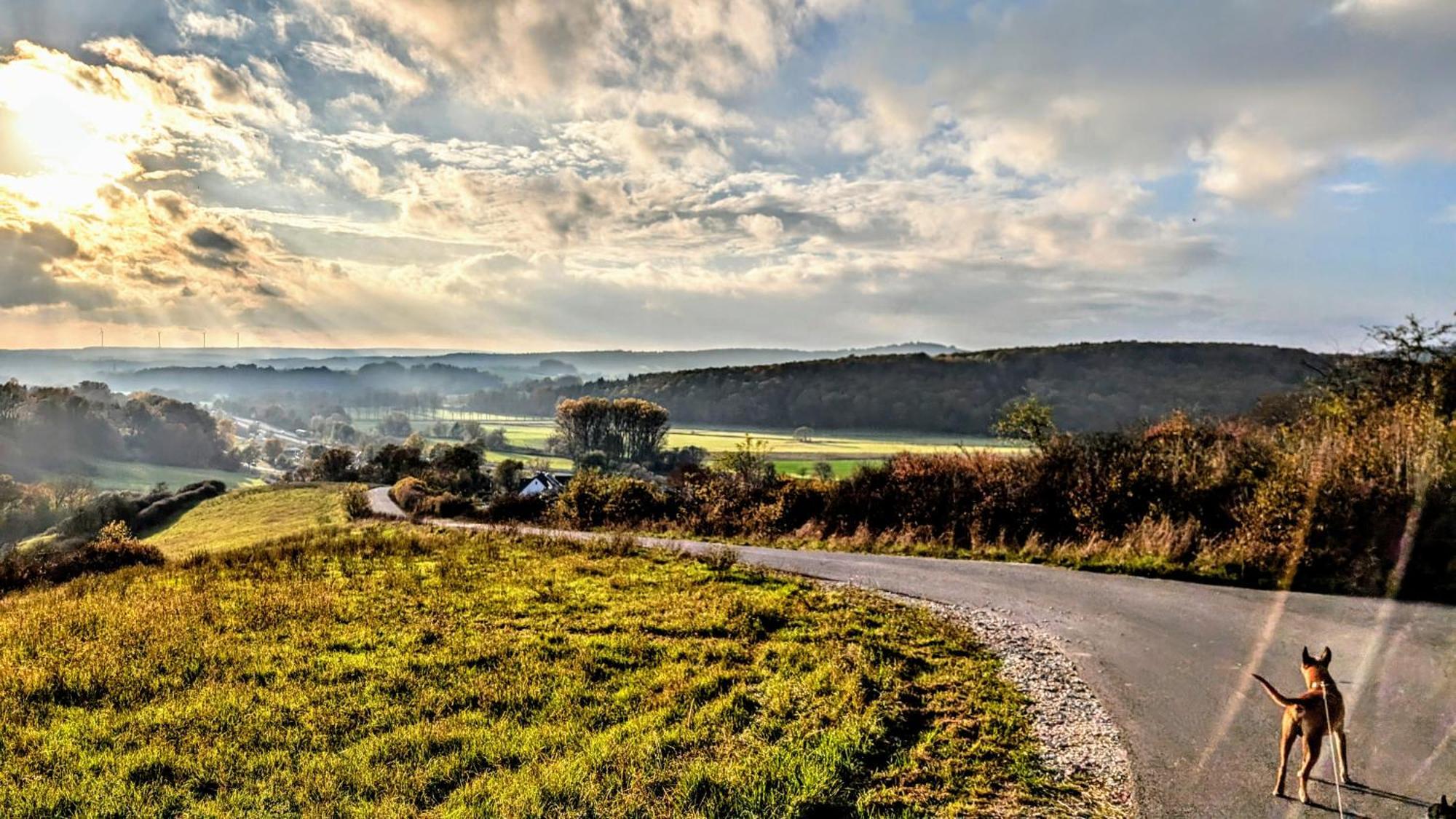 Hotel Panorama Niederfüllbach Екстериор снимка